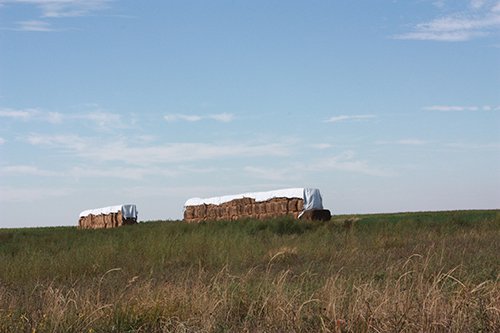 Property photo 70 - LAND AUCTION, 3255+/- Acres offered in 13 Tracts